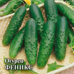 Огурец Феникс 100г фермерский пакет Гавриш