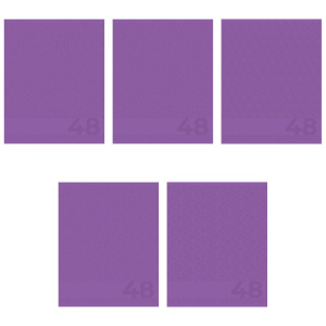 Тетрадь  48 листов Сиреневый 15018/5