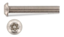 Винт секрет.полук.гол со штифтом 5х12 ТХ25 АРТ 9121  А2 9121-512