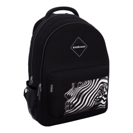 Рюкзак ErichKrause Easyline 20L Nirvana 62999