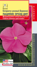 Катарантус розовый (Барвинок) Пацифик Орхид Дип 8шт. цветной пакет Плазменные семена