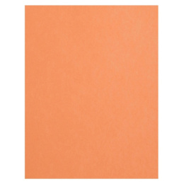 Картон цветной 50 листов 1 цвет А4 тонированный оранжевый КЦ-7816