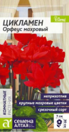 Цикламен Орфеус махровый 3шт. цветной пакет Семена Алтая