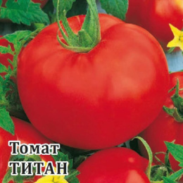 Томат Титан 5г фермерский пакет Гавриш