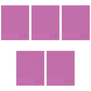 Тетрадь  48 листов Амарантовый 15021/5