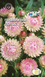 Гелихризум Лотос серебристо-розовый 0,2г цветной пакет Седек