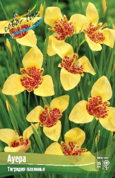 Тигридия Ауера 10шт. Colorline