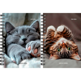 Книжка записная А6 120 листов Милые котики 6, гребень 3К120-3019