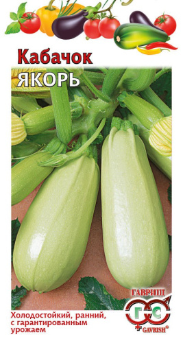 Кабачок Якорь   2г цветной пакет Гавриш