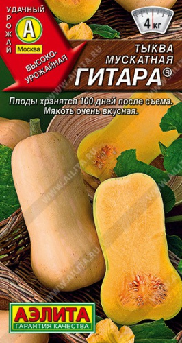 Тыква мускатная Гитара 1г цветной пакет Аэлита