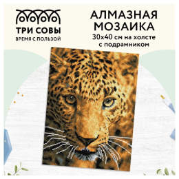 Алмазная мозаика на подрамнике 30х40см Взгляд охотника Три совы АМП3040_47597