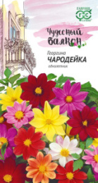 Георгина Чародейка смесь 0,3г цветной пакет серия Чудесный балкон Гавриш