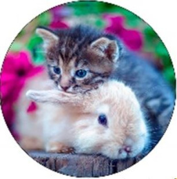 Подставка под кружку фанера круглая d-9см Котенок и кролик Евростиль ВГ-104