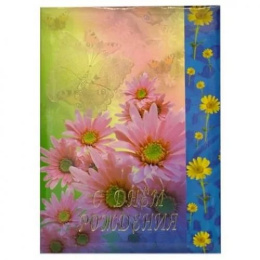 Папка адресная С Днем рождения Бабочка, ламинированная (пухлая) ПЛ 4003-01, 3692