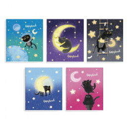 Тетрадь  48 листов Кот на Луне 59121