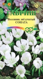 Весенник Соната звездчатый 0,01г цветной пакет Гавриш