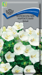 Колокольчик Карпатский белый 0,1г цветной пакет Поиск