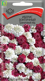 Иберис Гранатовый лед зонтичный 0,1г цветной пакет Поиск