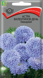 Астра Валентинов день лавандовая 0,2г цветной пакет Поиск