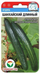 Огурец Шанхайский длинный 10шт. цветной пакет Сибирский сад