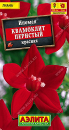 Ипомея Квамоклит красная 0,5г цветной пакет Аэлита