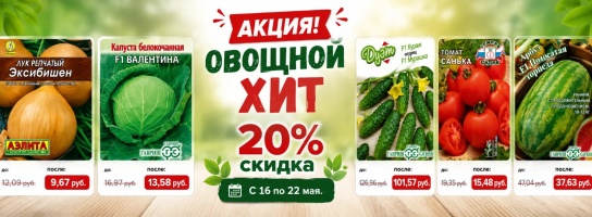 Овощной хит