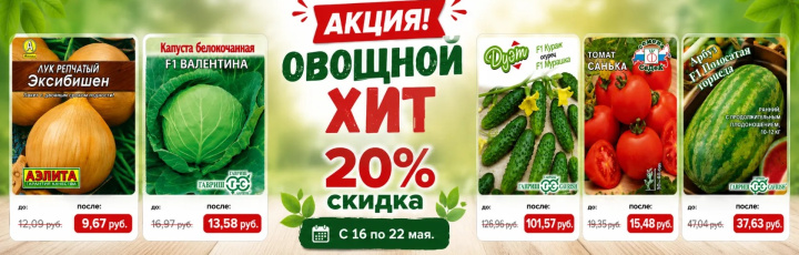 Овощной хит