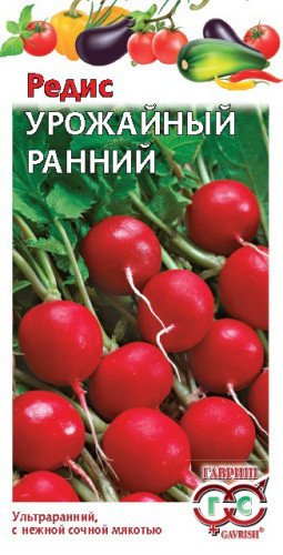 Редис Урожайный ранний 3г цветной пакет Гавриш