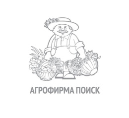 Щавель Крупнолистный 1г белый пакет, увеличенный размер Поиск