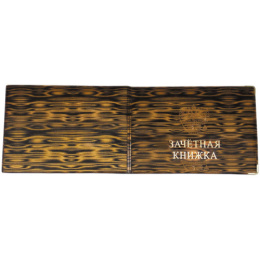 Обложка для зачетной книжки, ПВХ, глянец CD-ZK-1_779