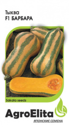 Тыква мускатная Барбара F1 5шт. цветной пакет Агроэлита