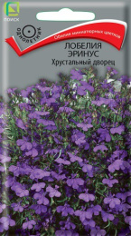 Лобелия Хрустальный дворец эринус 0,1г цветной пакет Поиск