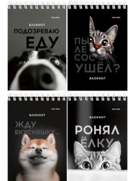 Блокнот А6  40 листов Смешные питомцы, гребень Б40-7018
