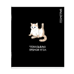 Тетрадь  48 листов П Геометрия Коты мемы 69821