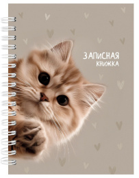 Книжка записная А6  80 листов Забавный котик 3, гребень 80-9512