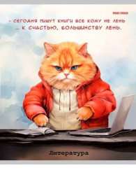 Тетрадь  48 листов П Литература Жил был кот Т48-1451
