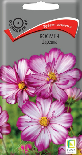 Космея Царевна 0,1г цветной пакет Поиск