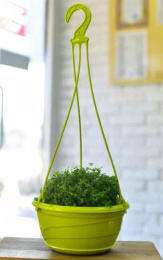 Кашпо подвесное пластиковое Венеция с поддоном d-28,5см 6,0л фисташковый 5plast 5PL0358