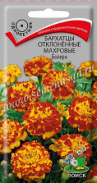 Бархатцы отклоненные (Тагетес) Болеро  0,4г цветной пакет Поиск