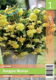 Бегония Пендула Желтая 1шт. Эконом Colorline
