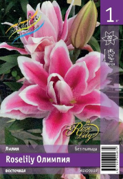 Лилия Roselily Олимпия 12/14 1шт. Эконом (ORD) Colorline