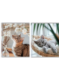 Тетрадь  48 листов Уютные котики, гребень 48-2342
