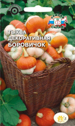 Тыква декоративная Боровичок 0,25г цветной пакет Седек