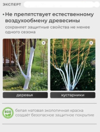 Краска акриловая для садовых деревьев 5,0кг Эксперт