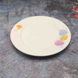 Тарелка фарфоровая мелкая 220мм Colorful season Радужный Дом РД85158