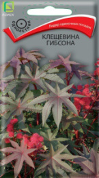 Клещевина Гибсона 2г цветной пакет Поиск
