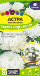 Астра Тысяча чудес белая карликовая 0,2г цветной пакет Семена Алтая