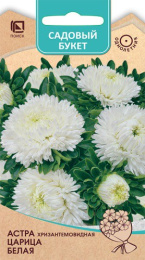 Астра Царица белая хризантемовидная 0,1г цветной пакет серия Садовый букет Поиск