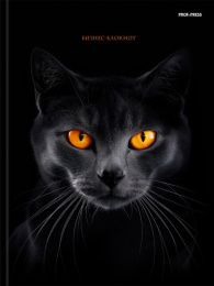 Блокнот А5  80 листов Биз Черная кошка-2, книжный переплет 80-4473