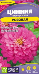 Цинния Розовая низкорослая 0,2г цветной пакет Семена Алтая